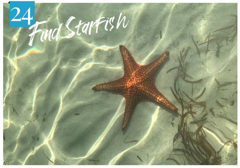 Find Starfish