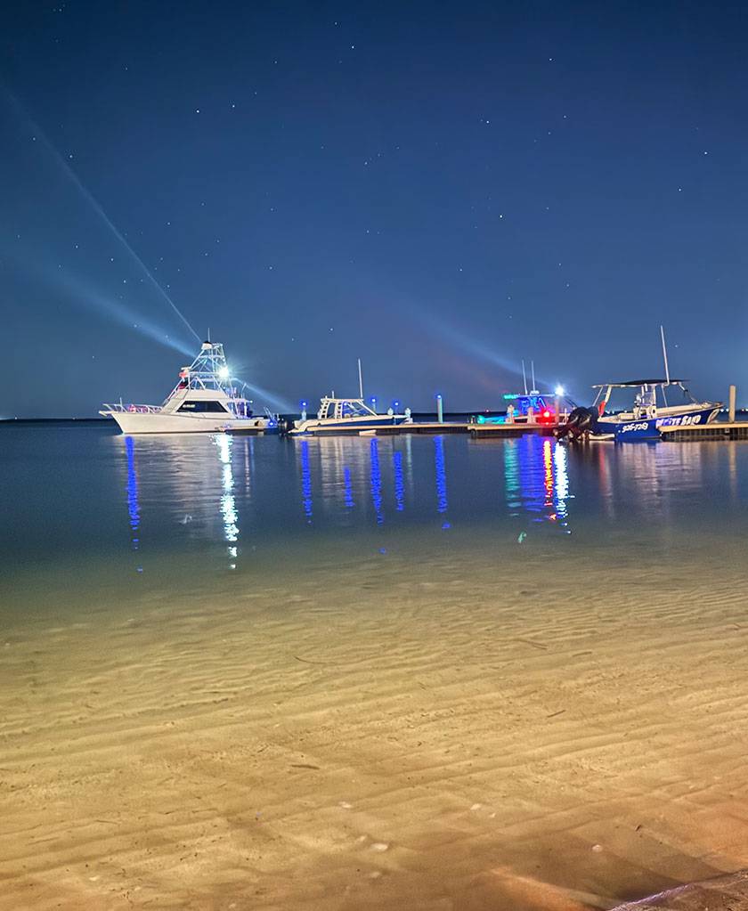 stars over the north sound