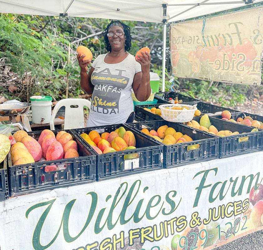 woman holding mangoes at farm stand